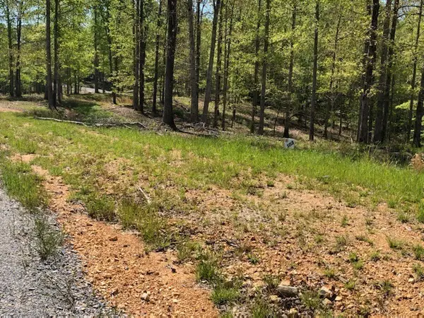 81 The Woodlands Of Nashville, Mc Ewen, TN 37101