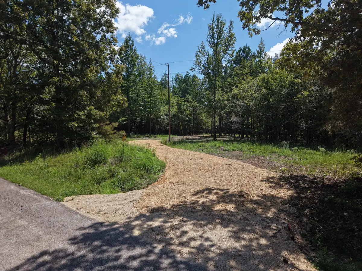0 Point Mason Rd, Big Sandy, TN 38221 - #1