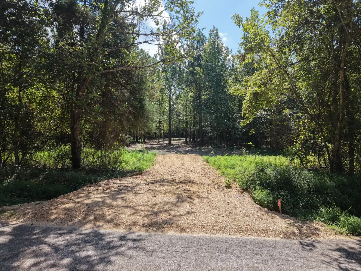 0 Point Mason Rd, Big Sandy, TN 38221 - #1