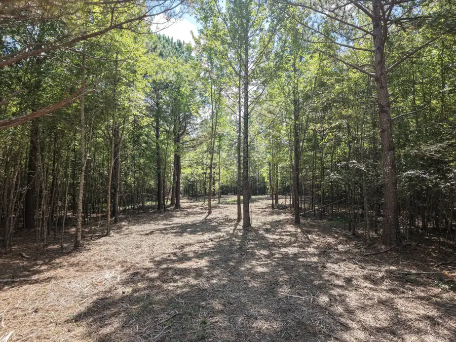 0 Point Mason Rd, Big Sandy, TN 38221 - #3
