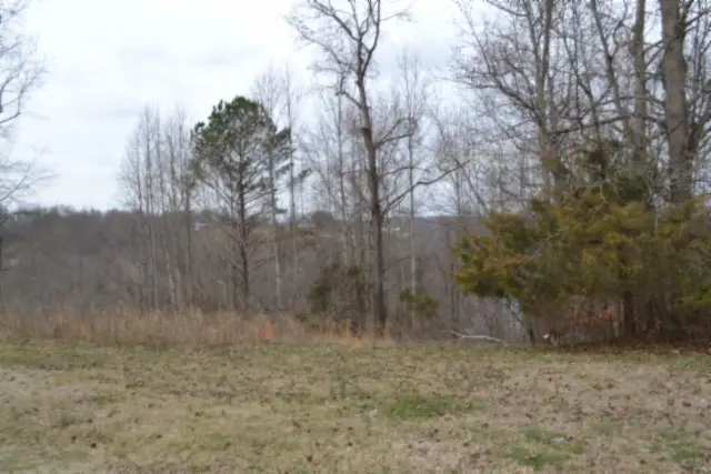 0 Fox Hill Road, Baxter, TN 38544 - #3
