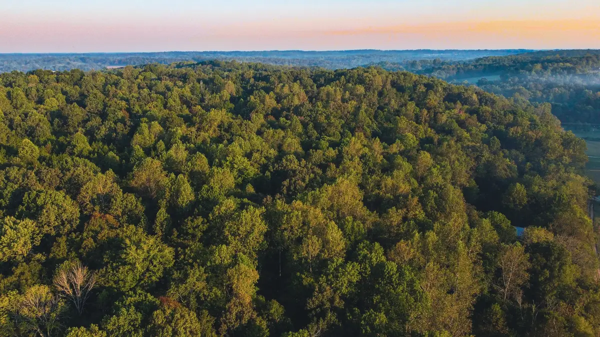 0 Rock Springs Rd, Cumberland Furnace, TN 37051 - #1