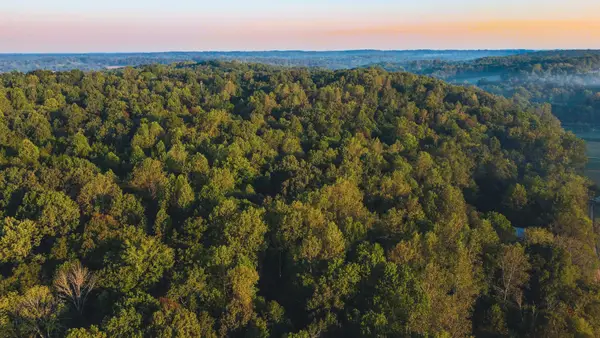0 Rock Springs Rd, Cumberland Furnace, TN 37051