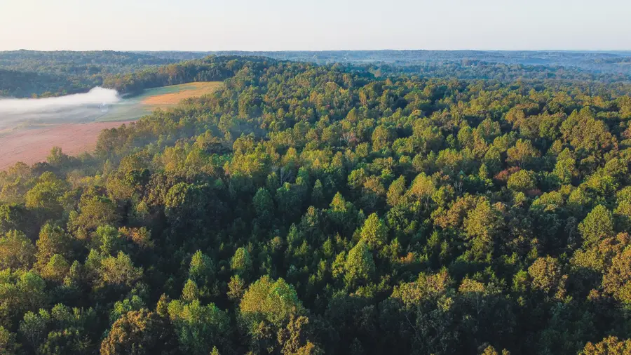 0 Rock Springs Rd, Cumberland Furnace, TN 37051 - #2