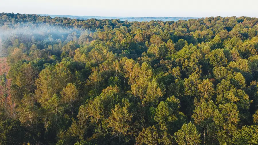 0 Rock Springs Rd, Cumberland Furnace, TN 37051 - #3