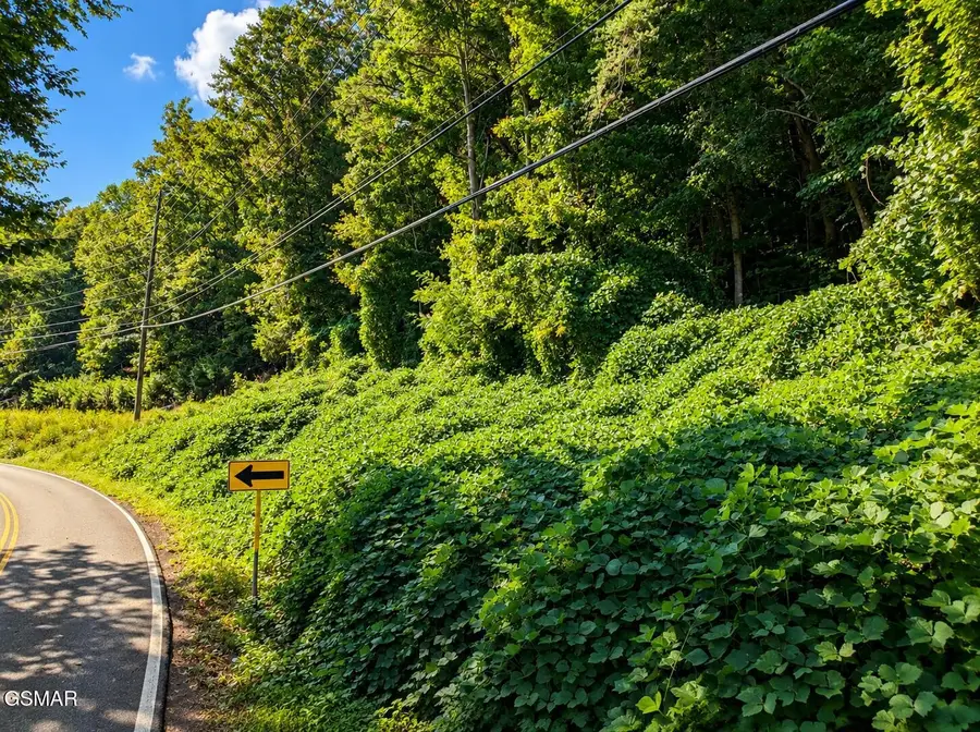 12 Pittman Center Road, Sevierville, TN 37876 - #3