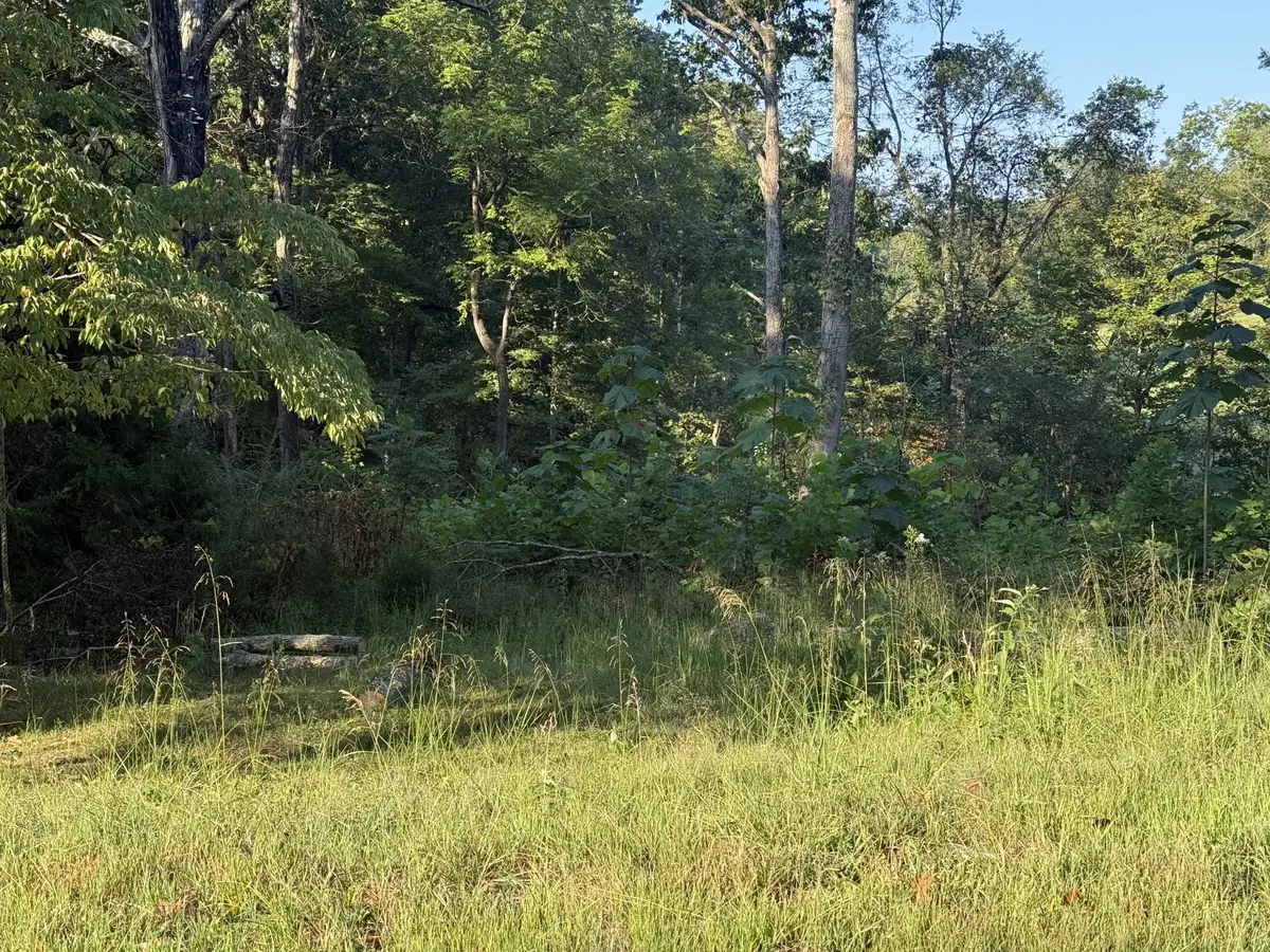 1190 Bell Hollow Rd, Vanleer, TN 37181 - #1