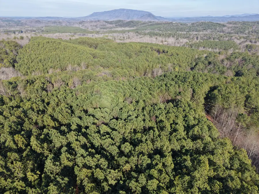 180 Rock Creek Drive, Old Fort, TN 37362 - #3