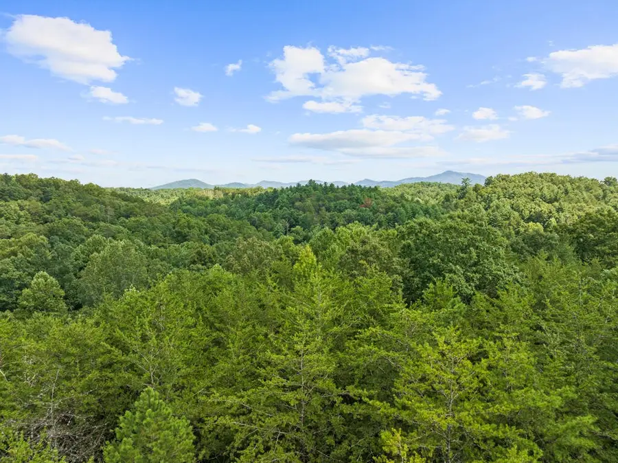 6 Timber Lane Court, Turtletown, TN 37391 - #2