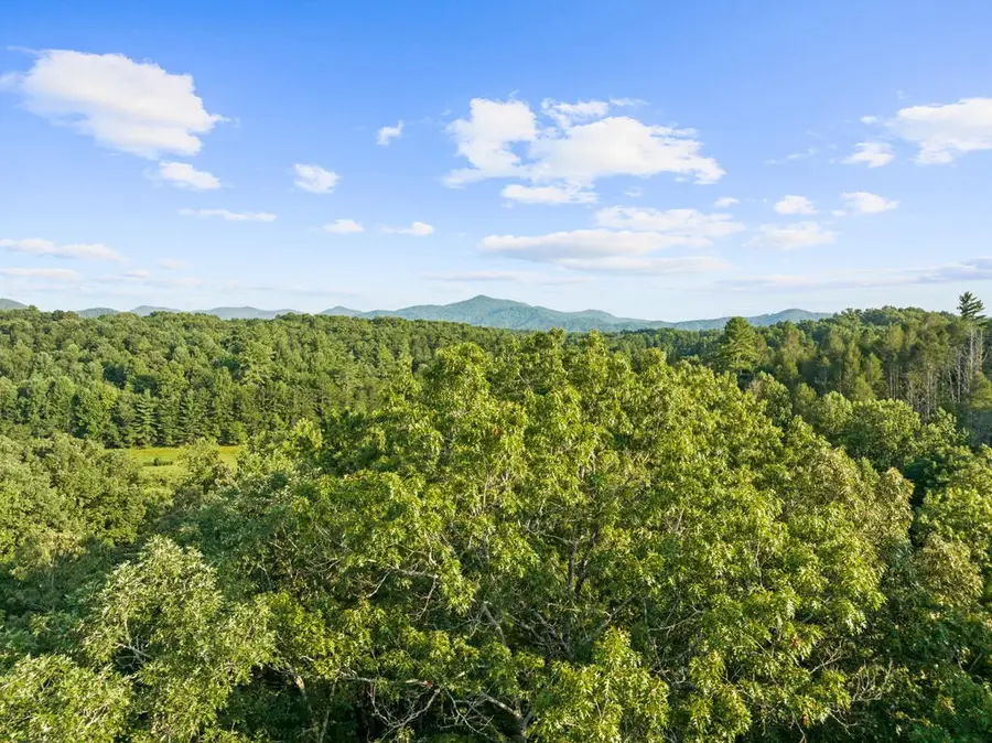 6 Timber Lane Court, Turtletown, TN 37391 - #3