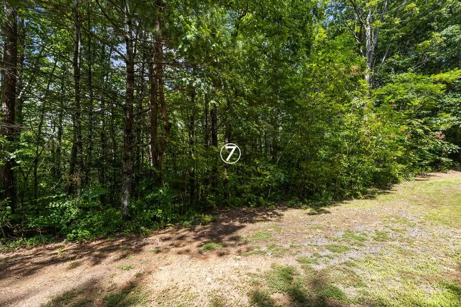 7 Timber Lane Court, Turtletown, TN 37391 - #2