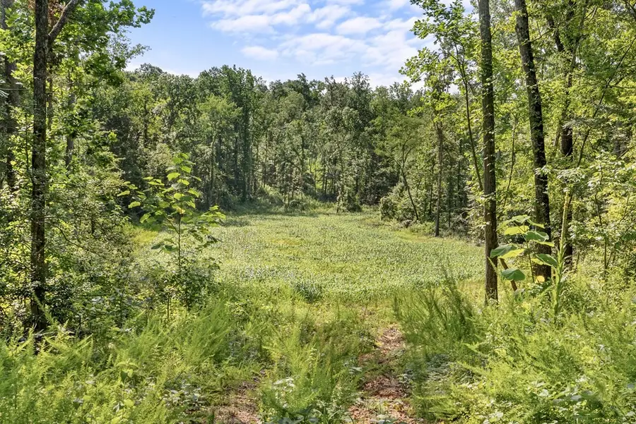 0 Hamilton Rd, Springville, TN 38256 - #2