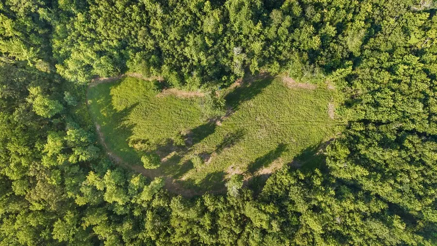 0 Hamilton Rd, Springville, TN 38256 - #3