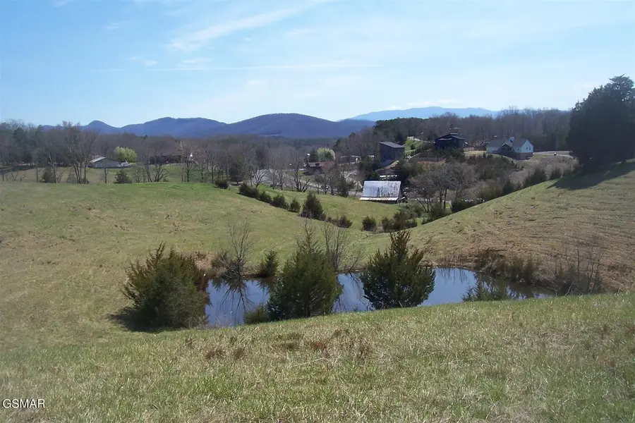 1 Flat Creek Rd, Sevierville, TN 37876 - #2