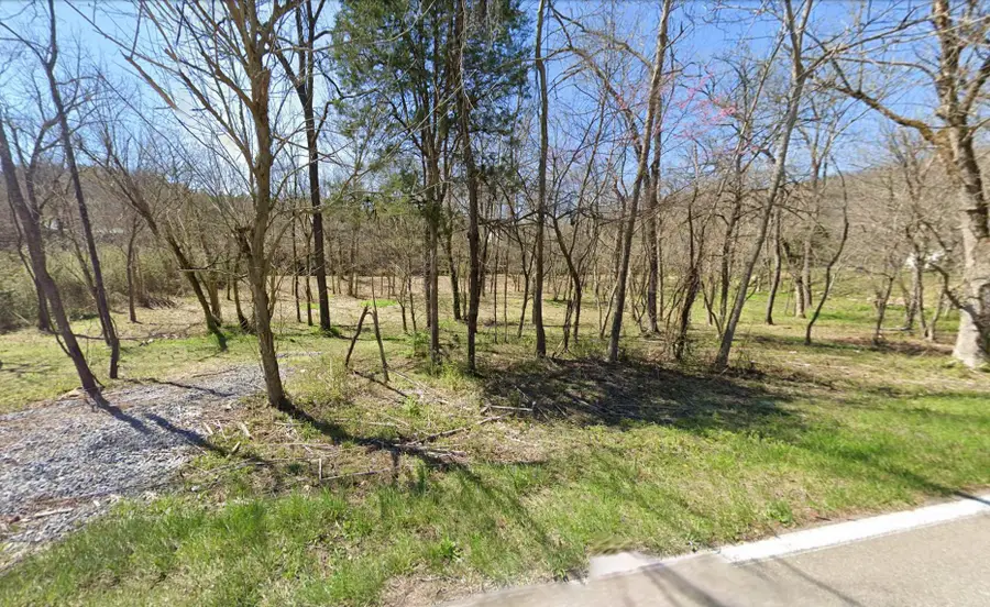 3380 Jones Cove Rd, Sevierville, TN 37876 - #2