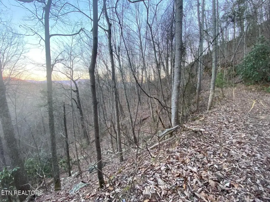 36 Elderberry Drive, Sevierville, TN 37876 - #3