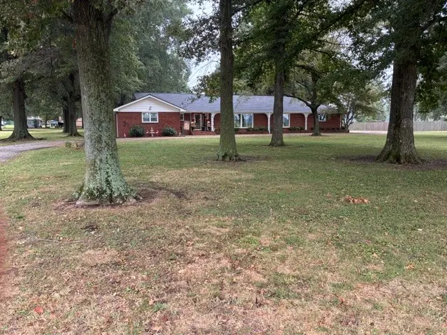 1015 Lake Dr, Tiptonville, TN 38079 - #2