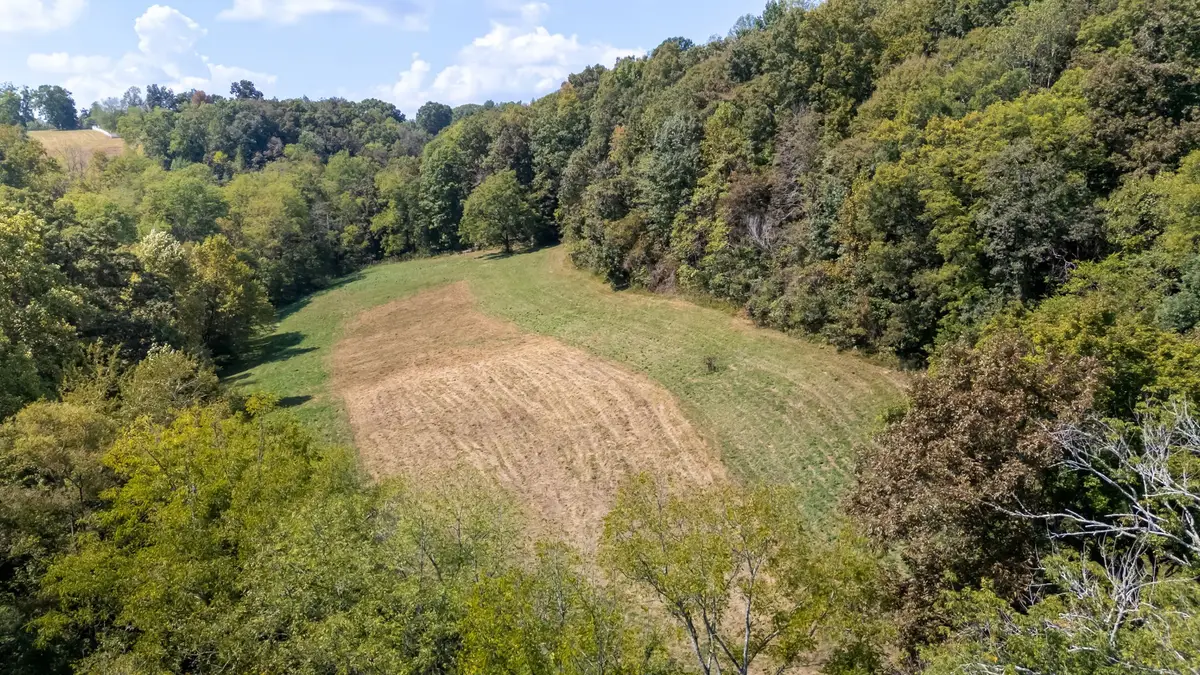 384 Big Spring Hollow, Pulaski, TN 38478 - #1