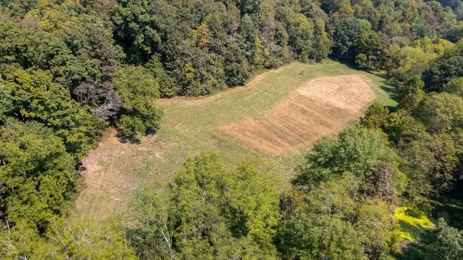 384 Big Spring Hollow, Pulaski, TN 38478 - #2