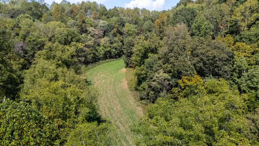 384 Big Spring Hollow, Pulaski, TN 38478 - #3