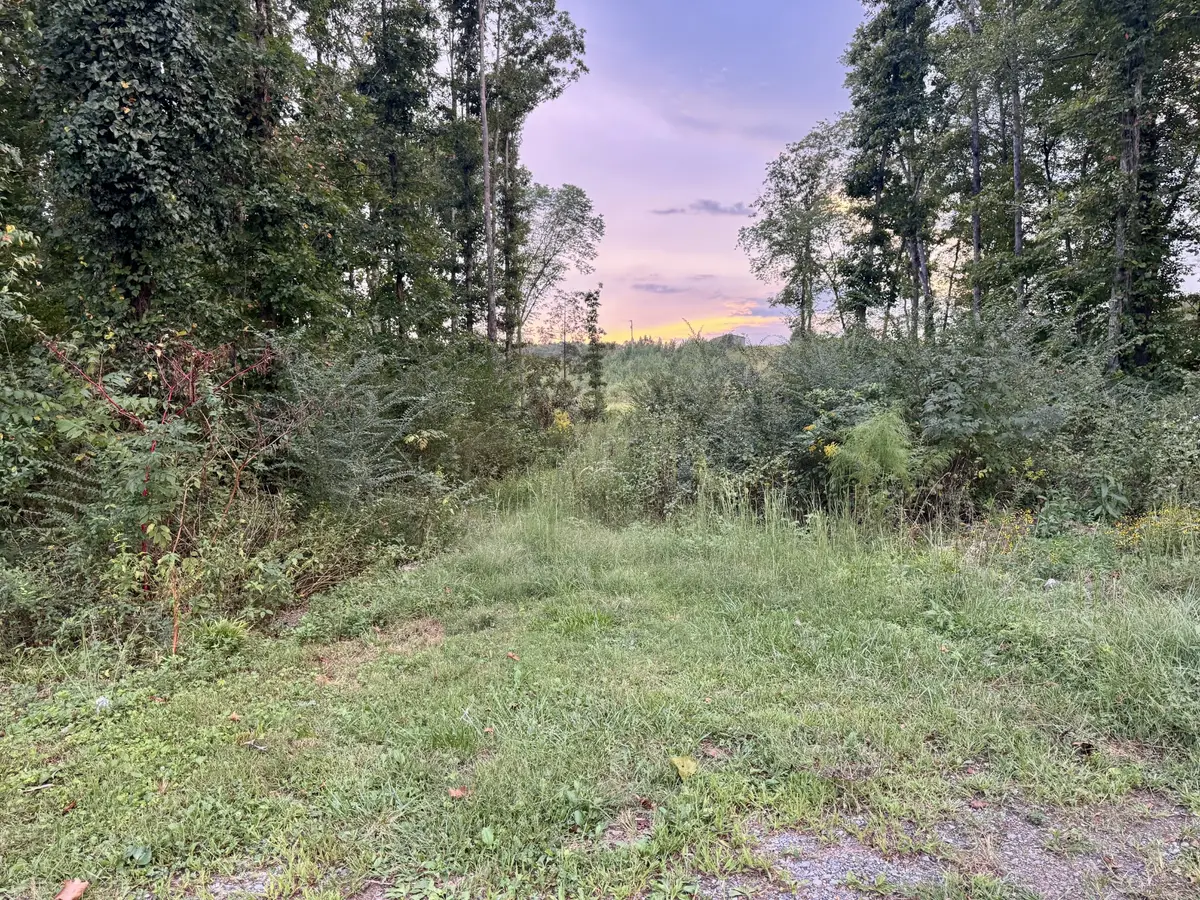 802 Arwine Rd, Decatur, TN 37322 - #1
