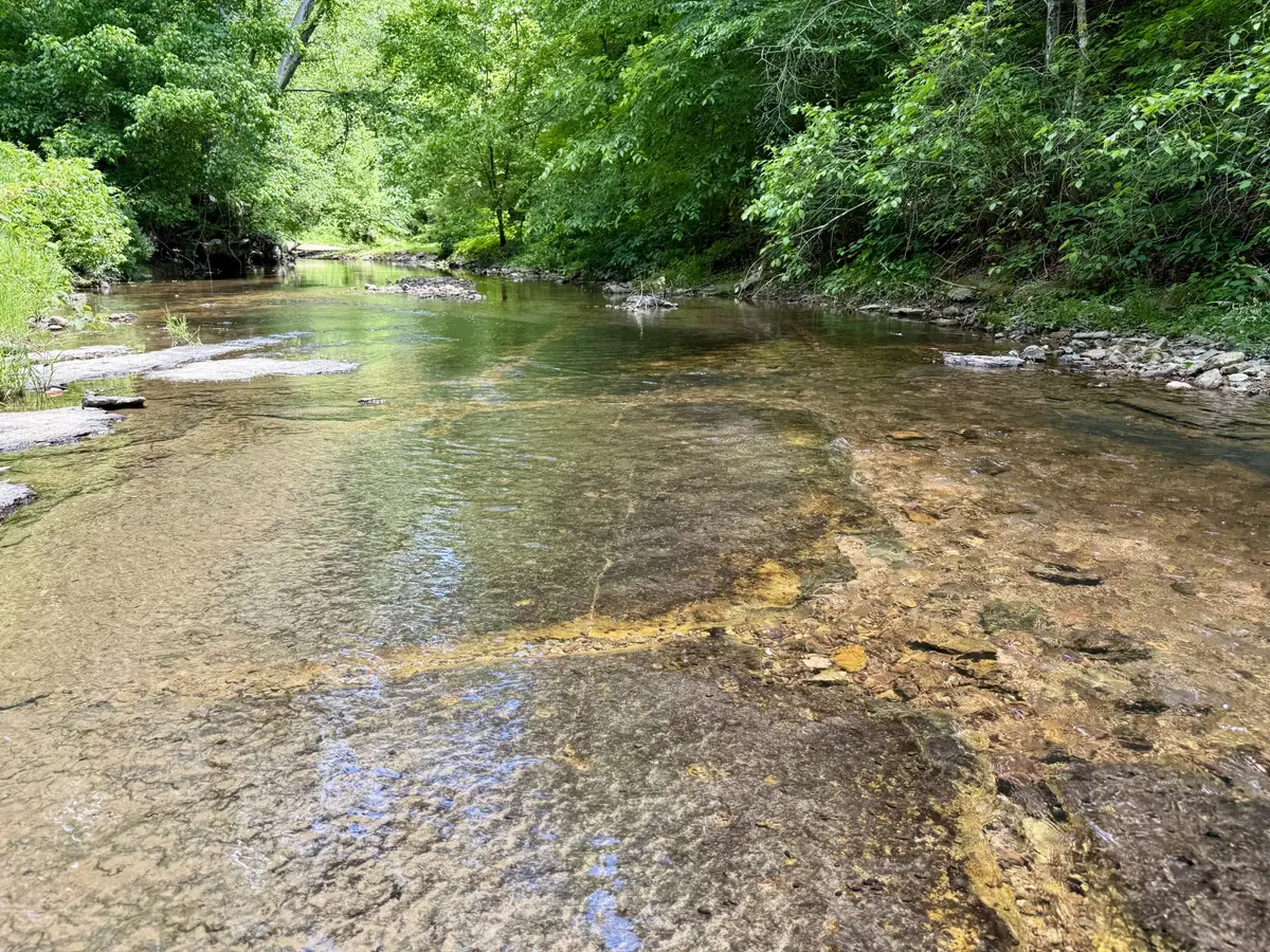 0 W Hunt Hollow Rd, Westpoint, TN 38486 - #1