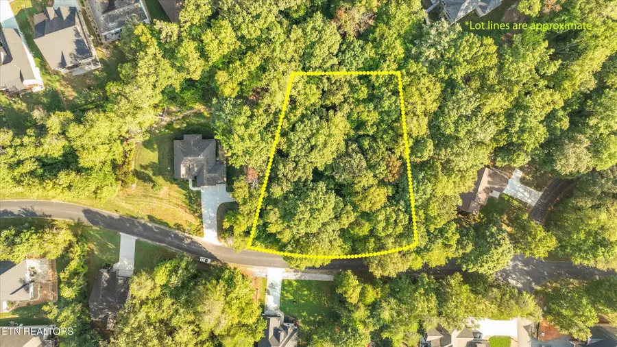 103 Oostagala Drive, Loudon, TN 37774 - #2