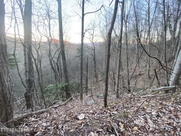35 Elderberry Drive, Sevierville, TN 37876