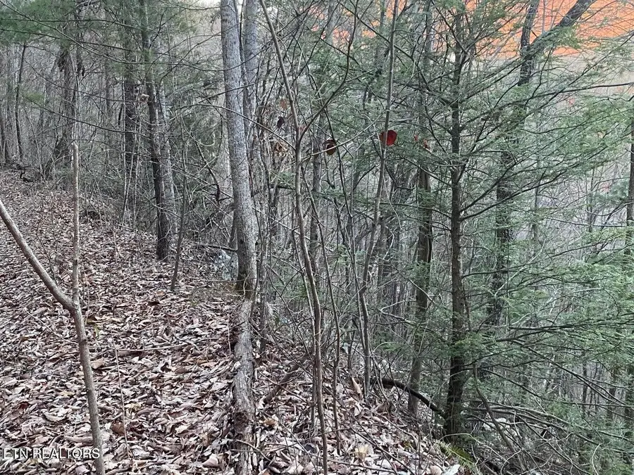 35 Elderberry Drive, Sevierville, TN 37876 - #2