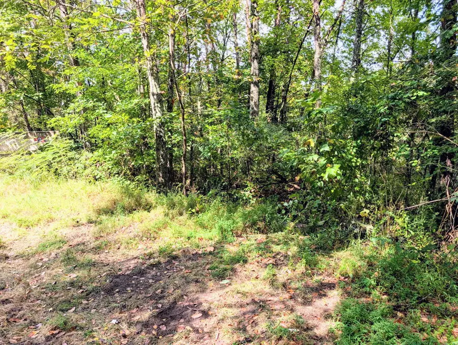 0 Man Street, Tracy City, TN 37387 - #2