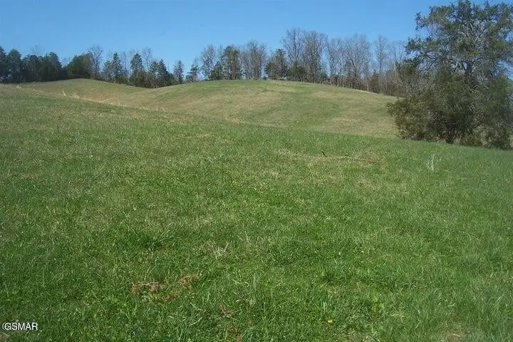 3 Flat Creek Rd, Sevierville, TN 37876 - #3