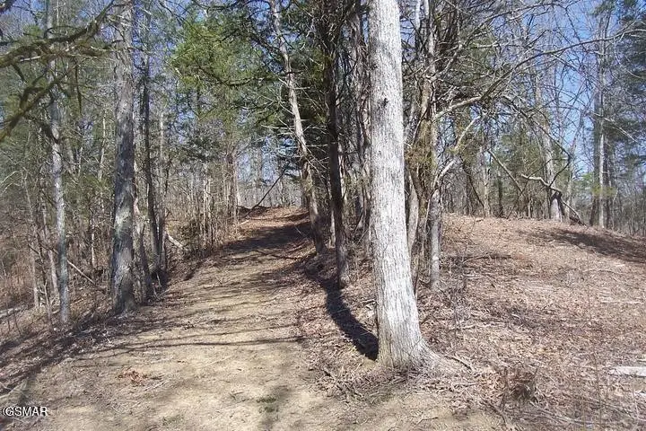 4 Flat Creek Rd, Sevierville, TN 37876 - #3