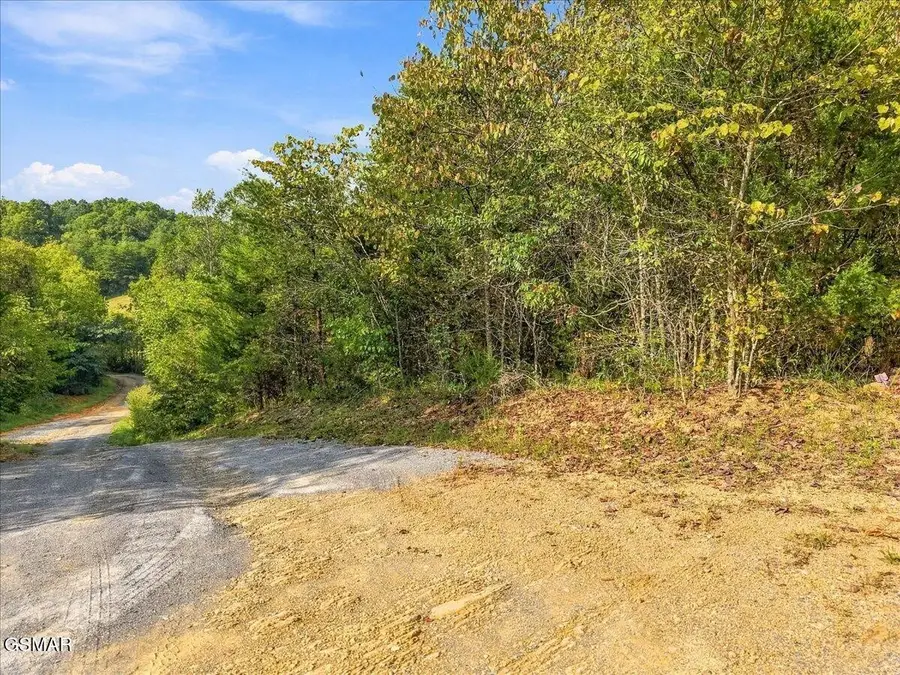 0 Green Road, Bulls Gap, TN 37711 - #2