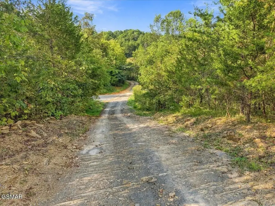 0 Green Road, Bulls Gap, TN 37711 - #3