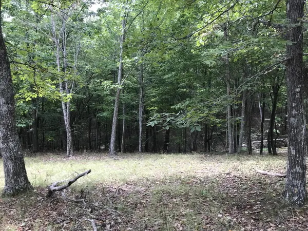 103 Bluffview Drive, Dunlap, TN 37327