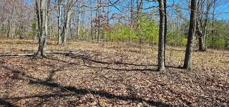 103 Bluffview Drive, Dunlap, TN 37327 - #3