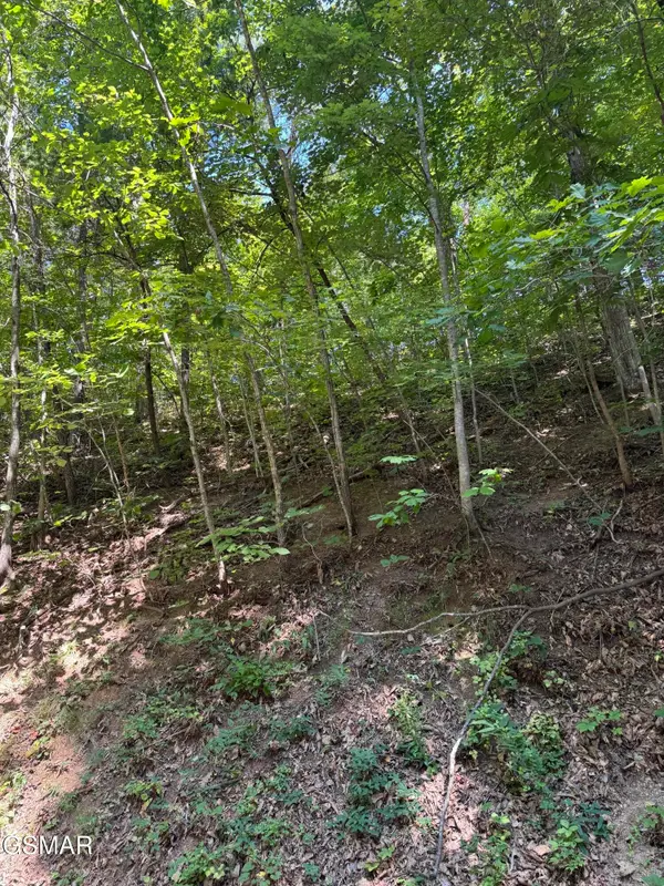 0 Progress Hill Boulevard, Pigeon Forge, TN 37863