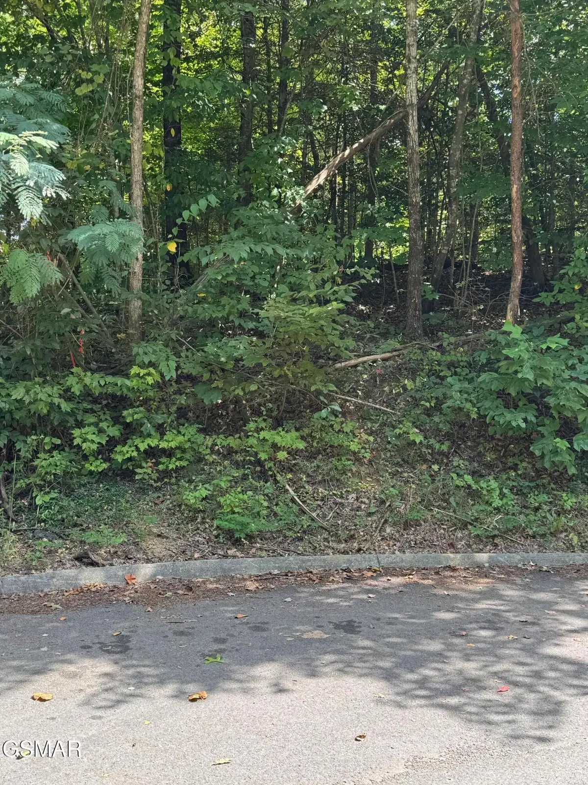 0 Sb Ogle Lane, Pigeon Forge, TN 37876 - #1