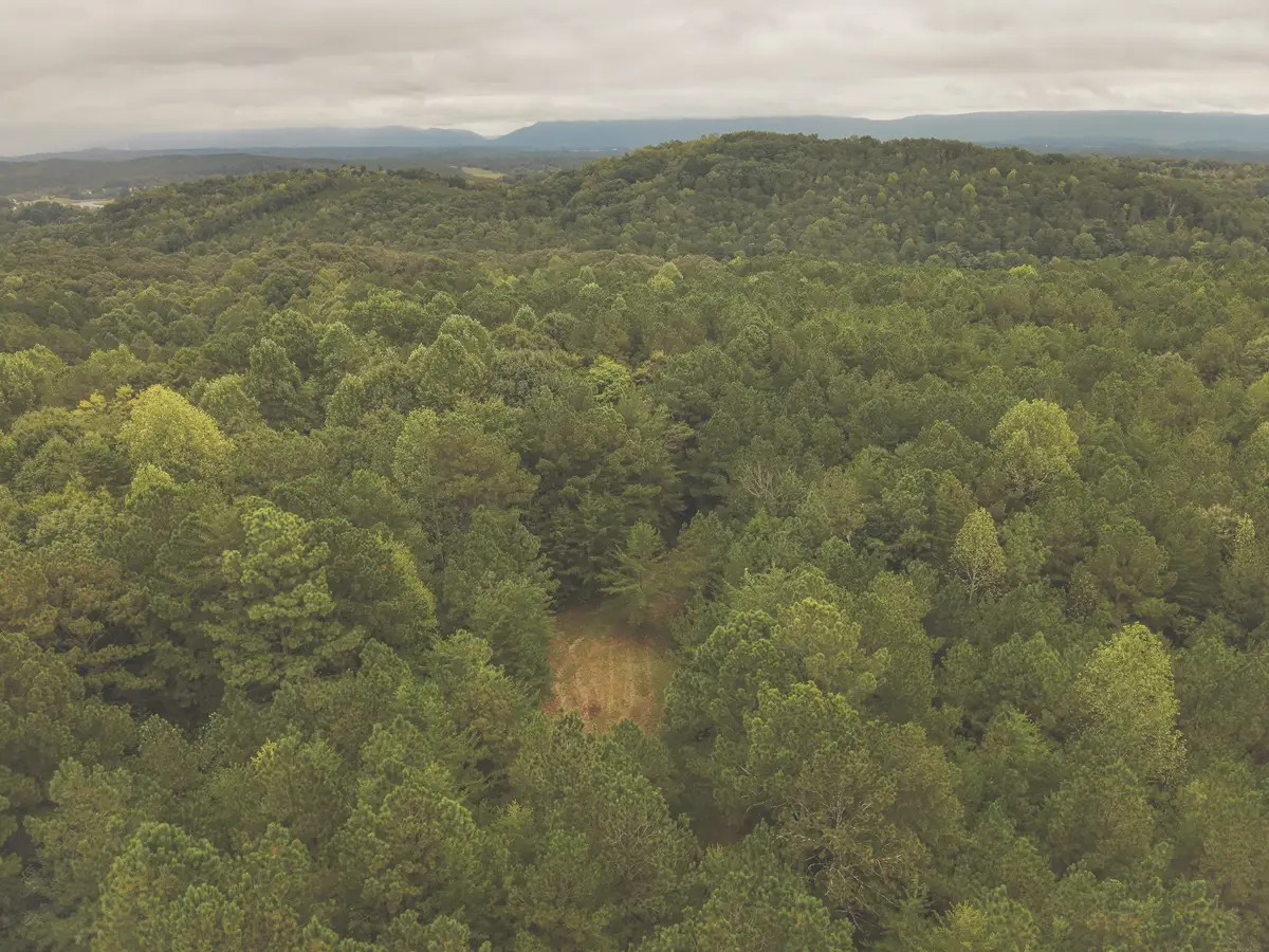 0 Deer Ridge Trail, Charleston, TN 37310 - #1