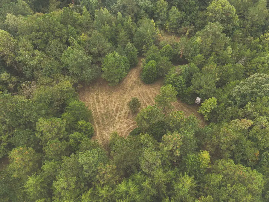 0 Deer Ridge Trail, Charleston, TN 37310 - #2