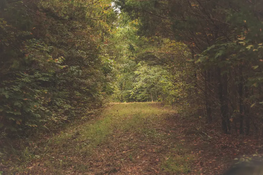 0 Deer Ridge Trail, Charleston, TN 37310 - #3