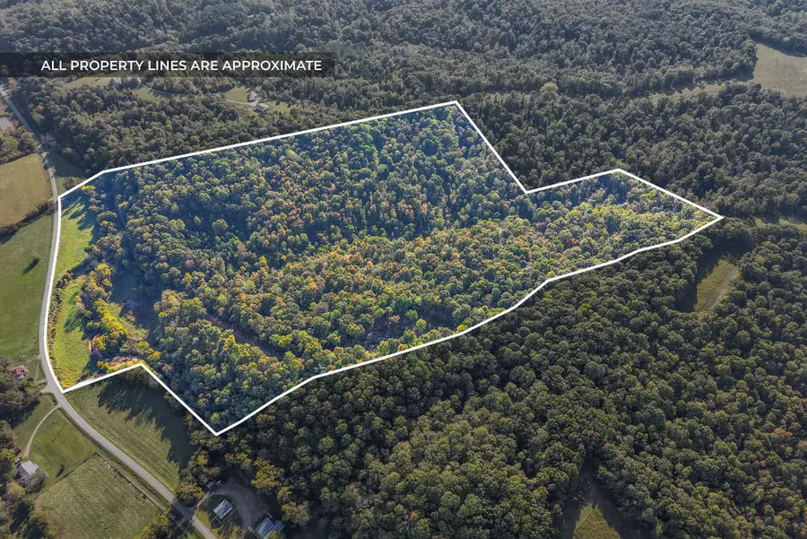 1740 Little Bartons Creek Rd, Cumberland Furnace, TN 37051 - #3
