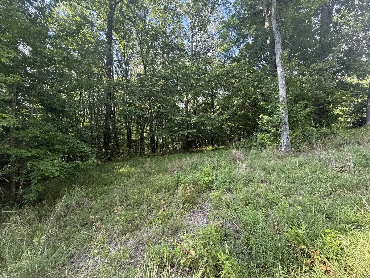 0 Willow Hollow Rd, Clarksville, TN 37043 - #1