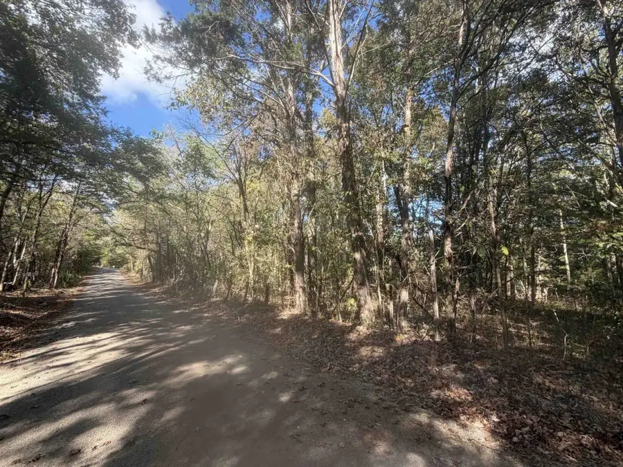 0 Doll Conway Rd, Clifton, TN 38425 - #2