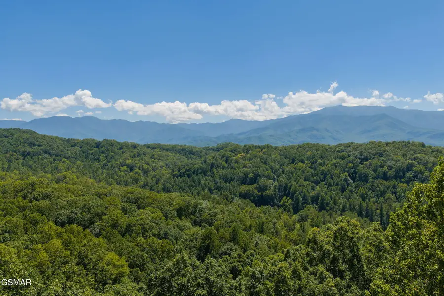 2239 Grassy Branch Road, Sevierville, TN 37876 - #2