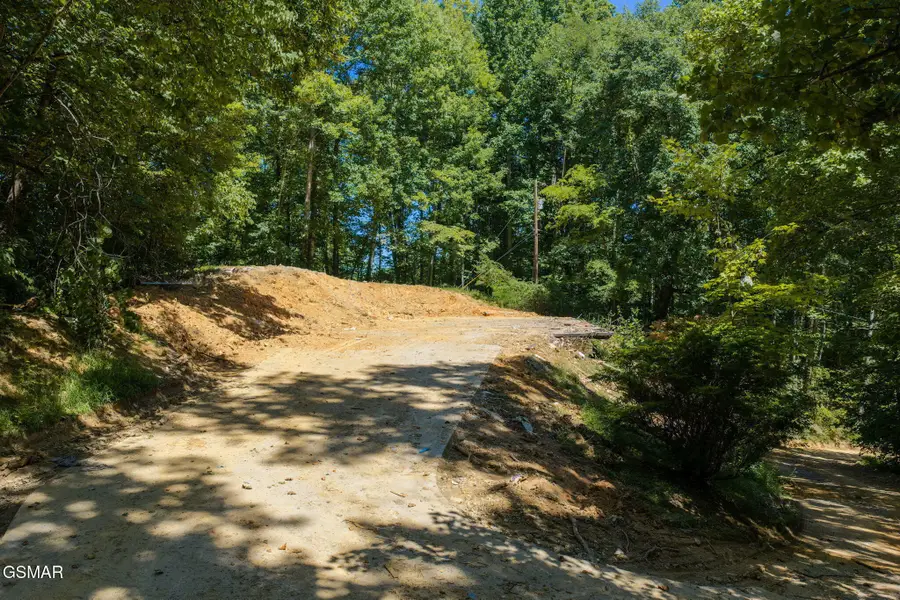 2239 Grassy Branch Road, Sevierville, TN 37876 - #3
