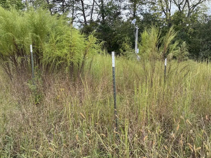 172 County Road 613, Athens, TN 37303 - #2