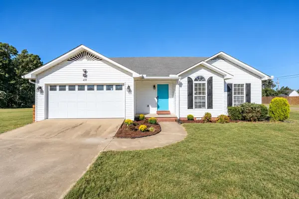 40 Topsy Ln, Savannah, TN 38372