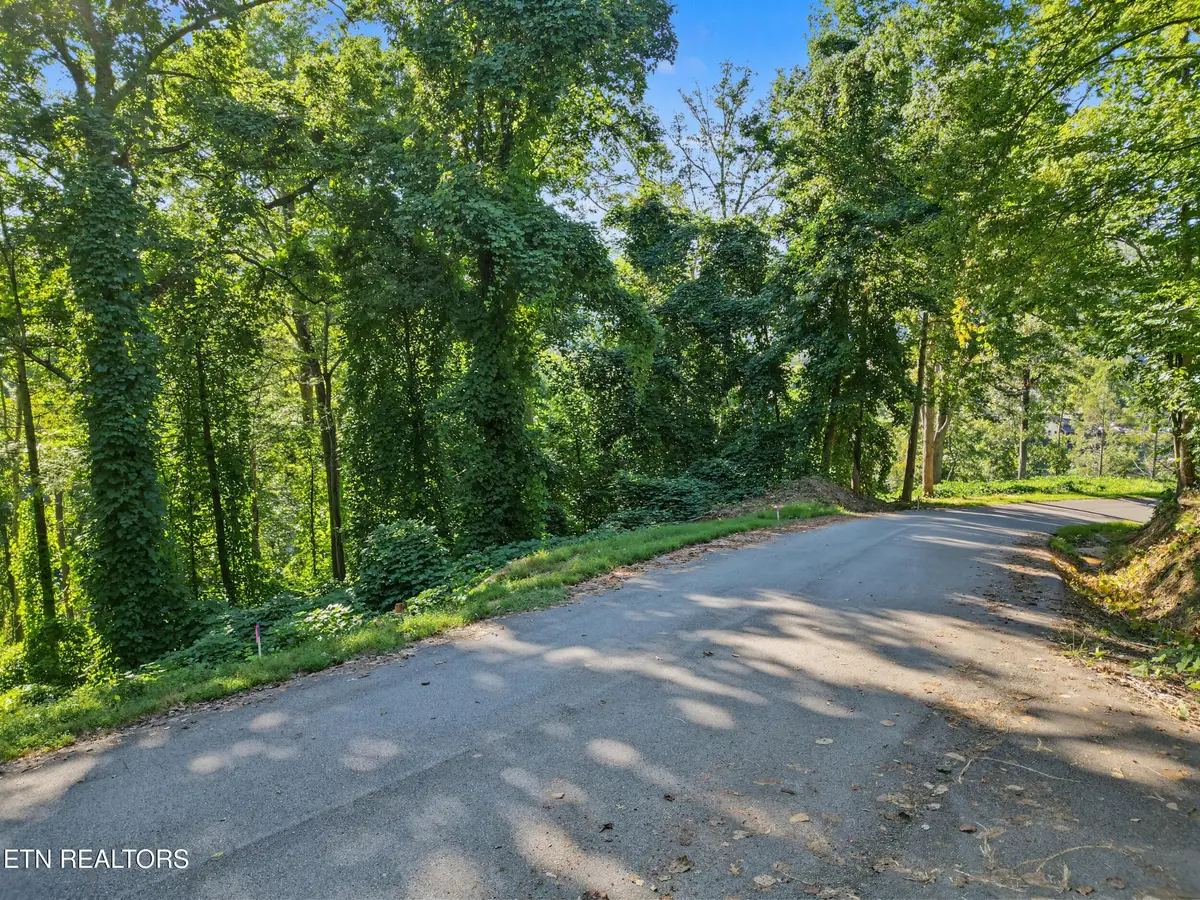 14 Davenport Rd, Gatlinburg, TN 37738 - #1