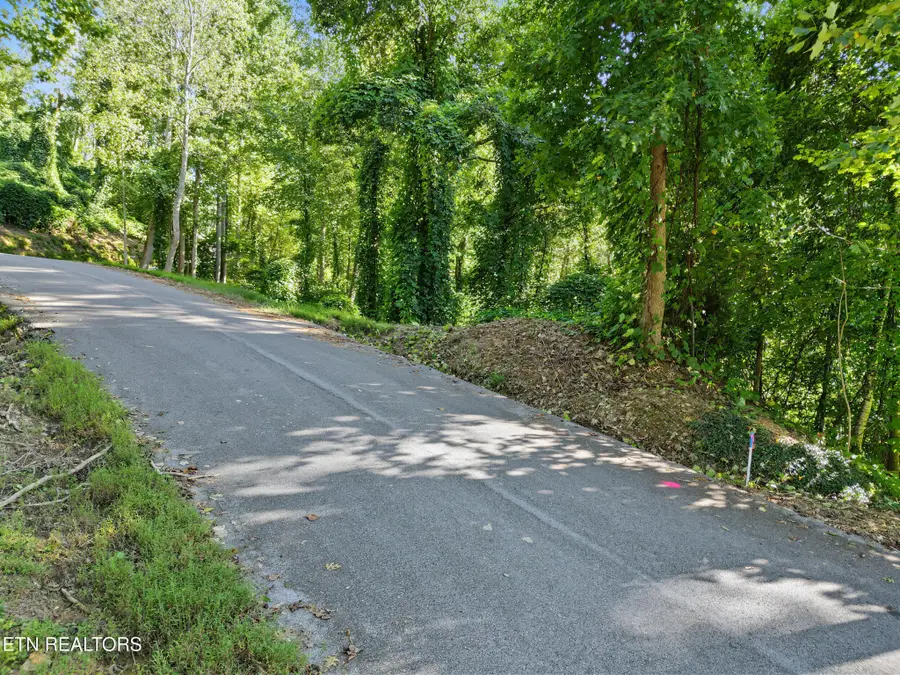 14 Davenport Rd, Gatlinburg, TN 37738 - #2